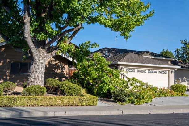 Emergency storm tree cleanup 24/7 in San Antonio
