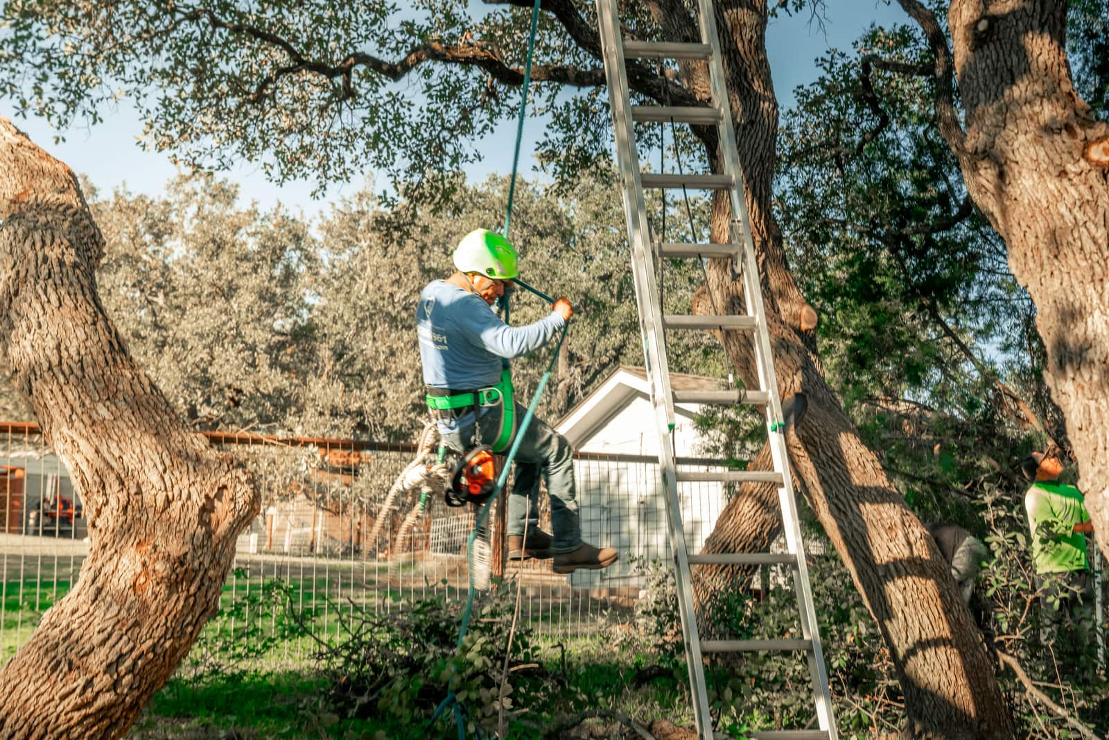 Landscape design and debris cleanup in San Antonio